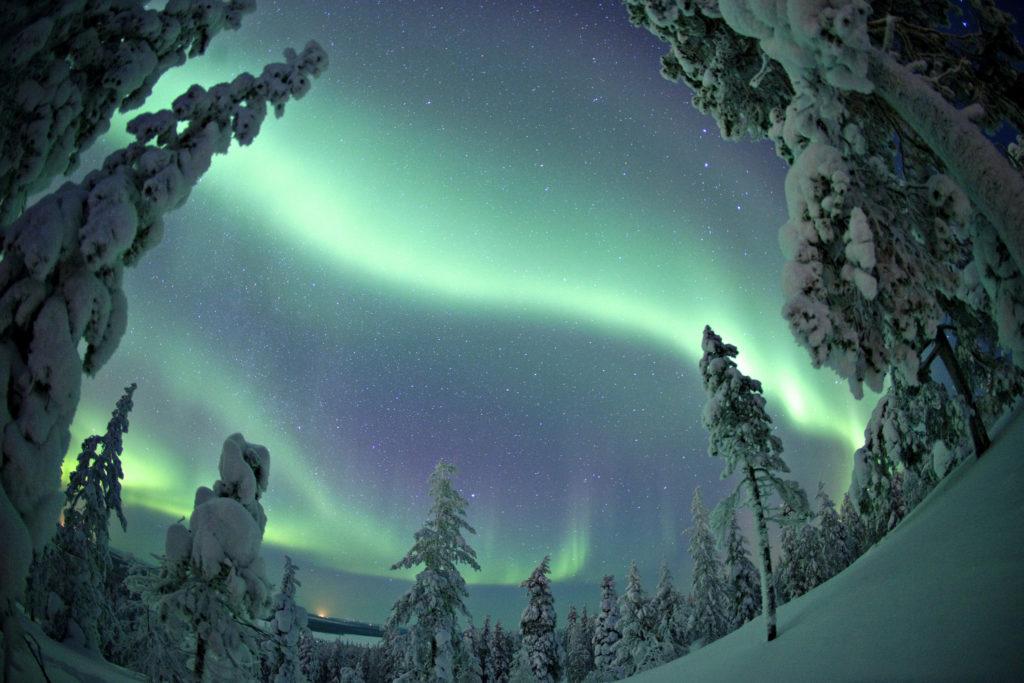 what to do in Lapland