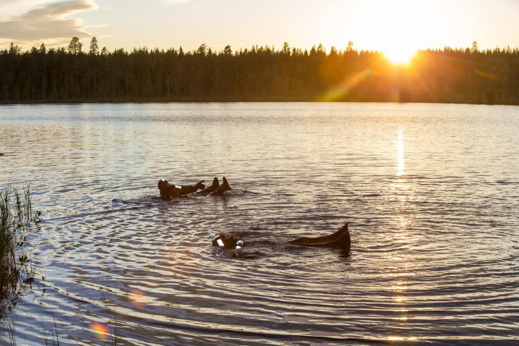 Travelling to Lapland in summer