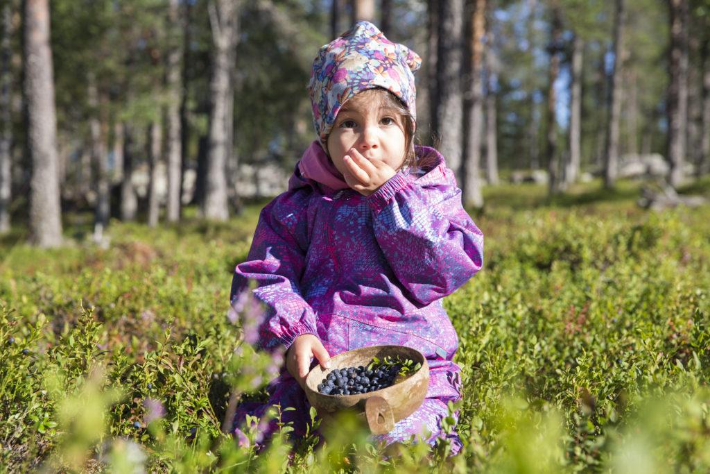 Summer in Lapland