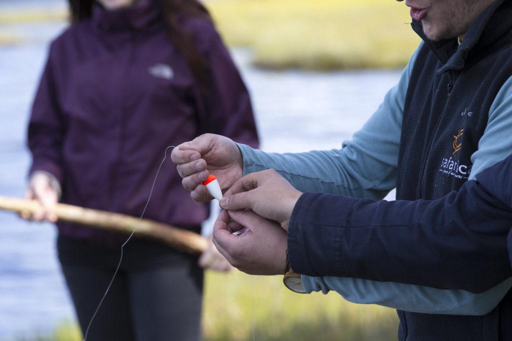 fishing in summer