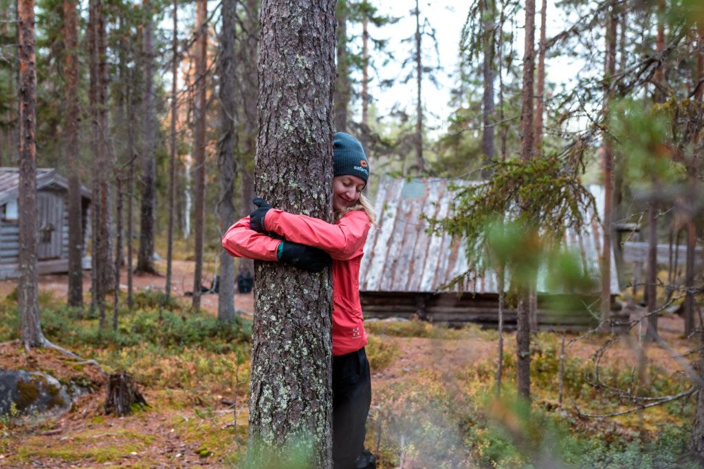 lapland in summer