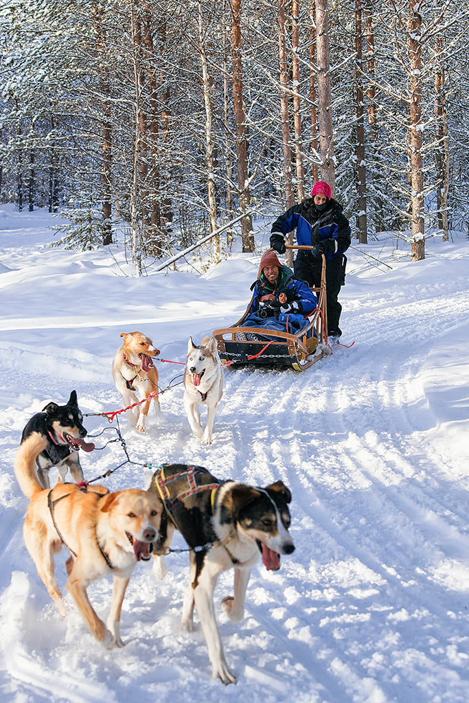 sledding with alaskan huskies